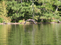 img_5021.jpg